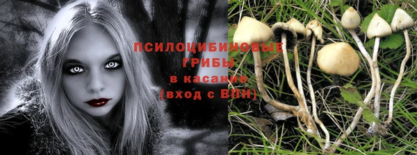 метамфетамин Алексеевка