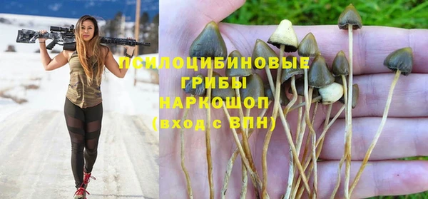 МДПВ Аркадак